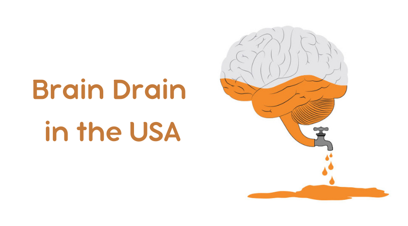 Brain Drain in the USA