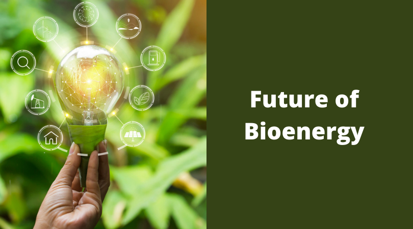 Future of Bioenergy 