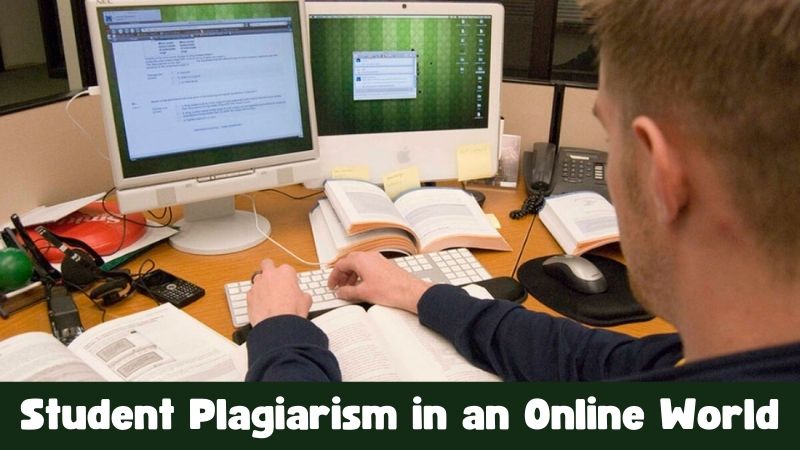 Student Plagiarism in an Online World